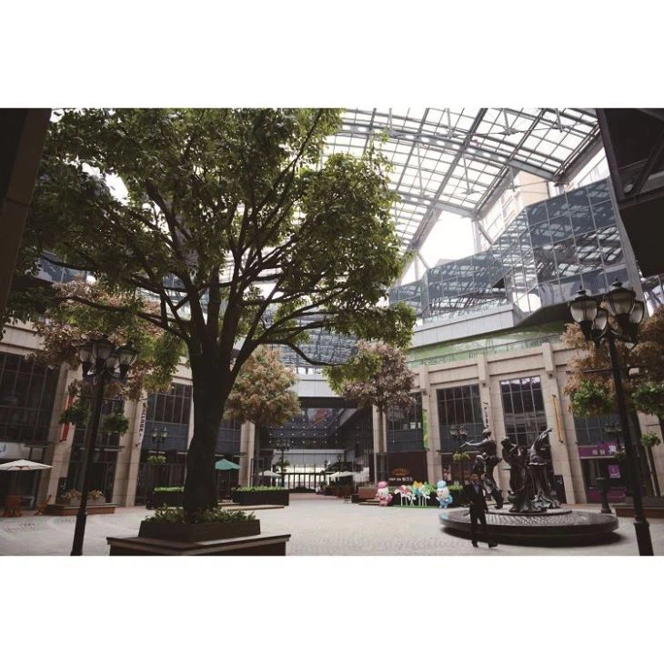 Geriausias dirbtinis Ficus medis